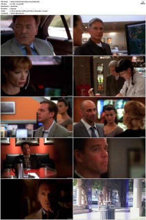 NCIS S05 1080p AMZN WEB-DL x265 HEVC DDP 5 1-PHOCiS