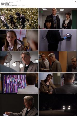 NCIS S07 1080p AMZN WEB-DL x265 HEVC DDP 5 1-PHOCiS