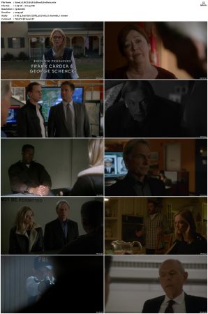 NCIS S13 1080p AMZN WEB-DL x265 HEVC DDP 5 1-PHOCiS