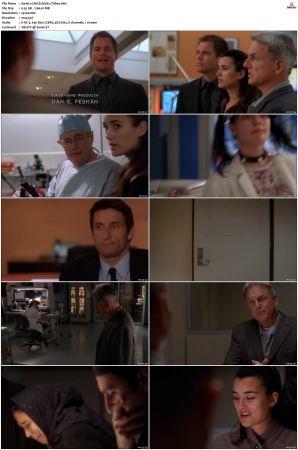 NCIS S05 1080p AMZN WEB-DL x265 HEVC DDP 5 1-PHOCiS