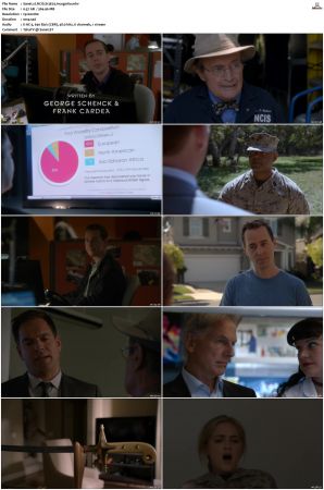 NCIS S13 1080p AMZN WEB-DL x265 HEVC DDP 5 1-PHOCiS
