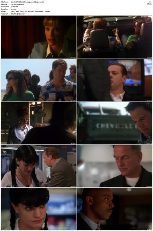 NCIS S05 1080p AMZN WEB-DL x265 HEVC DDP 5 1-PHOCiS