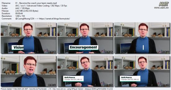Team Coaching Strategies for Project Managers