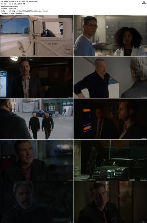 NCIS S20 1080p AMZN WEB-DL x265 HEVC DDP 5 1-PHOCiS