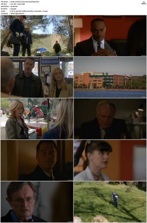 NCIS S12 1080p AMZN WEB-DL x265 HEVC DDP 5 1-PHOCiS