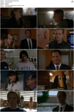 NCIS S12 1080p AMZN WEB-DL x265 HEVC DDP 5 1-PHOCiS