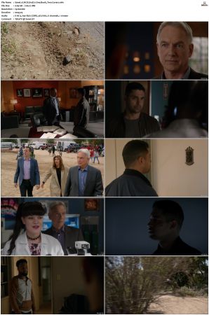 NCIS S14 1080p AMZN WEB-DL x265 HEVC DDP 5 1-PHOCiS