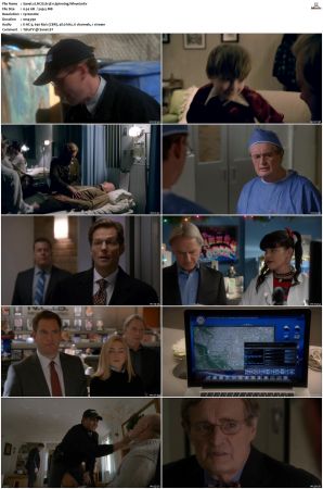 NCIS S13 1080p AMZN WEB-DL x265 HEVC DDP 5 1-PHOCiS