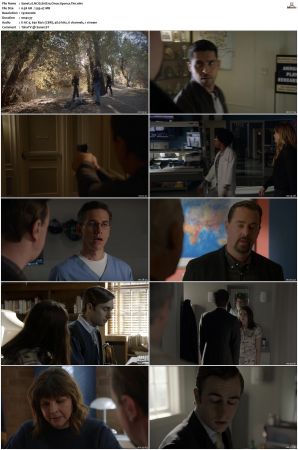 NCIS S16 1080p AMZN WEB-DL x265 HEVC DDP 5 1-PHOCiS