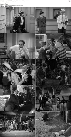 A Day At The Races 1937 1080p BluRay x264-SUP3R