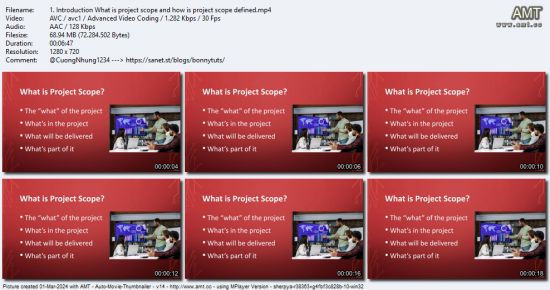 Defining Project Scope and Managing Resources in Projects