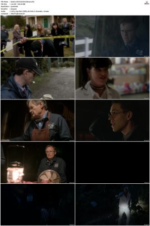 NCIS S10 1080p AMZN WEB-DL x265 HEVC DDP 5 1-PHOCiS