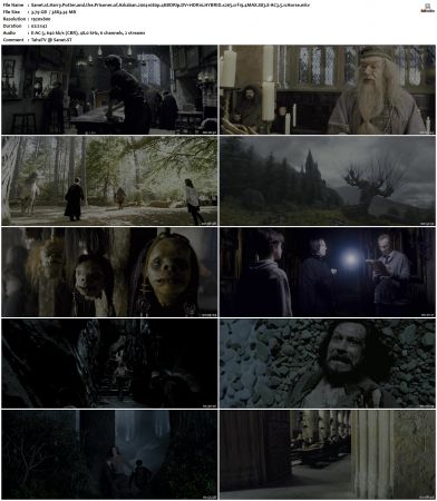 Harry Potter and the Prisoner of Azkaban 2004 1080p 4KBDRip DV+HDR10 HYBRID x265 crf19 4MAX S83 E-AC3 5.1 cHorse