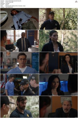 NCIS S20 1080p AMZN WEB-DL x265 HEVC DDP 5 1-PHOCiS