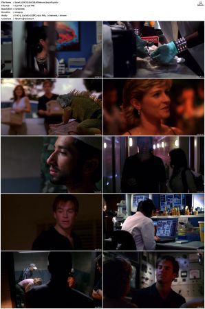 NCIS S01 1080p AMZN WEB-DL x265 HEVC DDP 5 1-PHOCiS