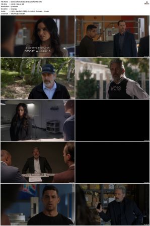 NCIS S19 1080p AMZN WEB-DL x265 HEVC DDP 5 1-PHOCiS