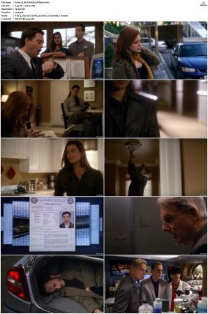 NCIS S08 1080p AMZN WEB-DL x265 HEVC DDP 5 1-PHOCiS