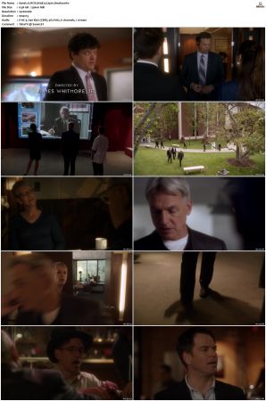 NCIS S09 1080p AMZN WEB-DL x265 HEVC DDP 5 1-PHOCiS