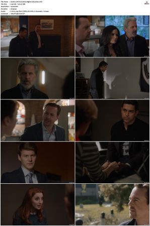 NCIS S20 1080p AMZN WEB-DL x265 HEVC DDP 5 1-PHOCiS