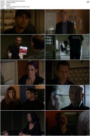 NCIS S14 1080p AMZN WEB-DL x265 HEVC DDP 5 1-PHOCiS