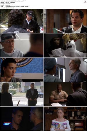 NCIS S07 1080p AMZN WEB-DL x265 HEVC DDP 5 1-PHOCiS