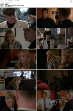 NCIS S11 1080p AMZN WEB-DL x265 HEVC DDP 5 1-PHOCiS