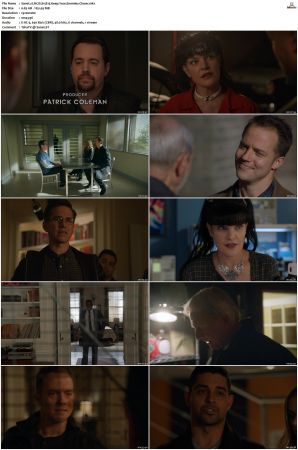 NCIS S15 1080p AMZN WEB-DL x265 HEVC DDP 5 1-PHOCiS