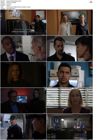 NCIS S15 1080p AMZN WEB-DL x265 HEVC DDP 5 1-PHOCiS