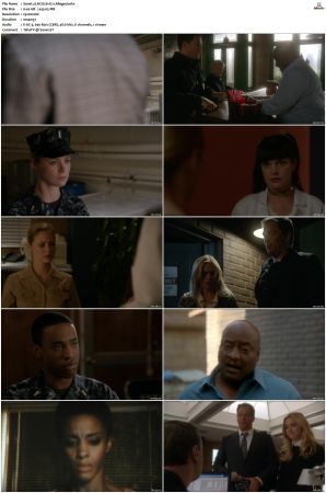 NCIS S11 1080p AMZN WEB-DL x265 HEVC DDP 5 1-PHOCiS