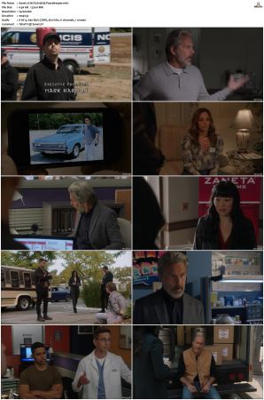NCIS S19 1080p AMZN WEB-DL x265 HEVC DDP 5 1-PHOCiS