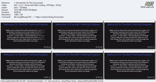 Forex Trading Mastery: Navigate the Markets with EAP program