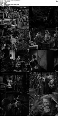 Swamp Water 1941 1080p BluRay x264-SUP3R