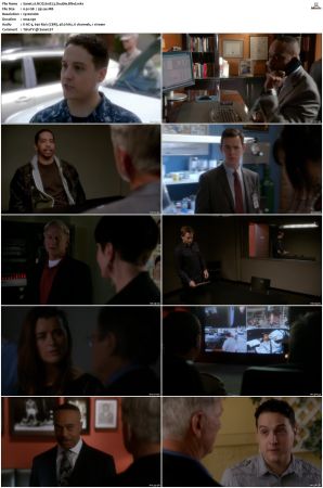 NCIS S10 1080p AMZN WEB-DL x265 HEVC DDP 5 1-PHOCiS