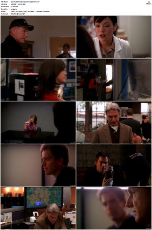 NCIS S02 1080p AMZN WEB-DL x265 HEVC DDP 5 1-PHOCiS