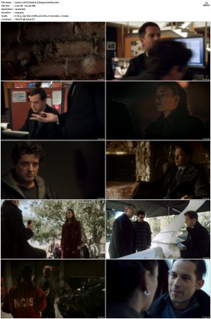 NCIS S09 1080p AMZN WEB-DL x265 HEVC DDP 5 1-PHOCiS