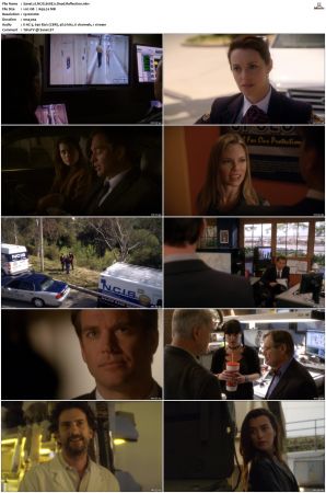NCIS S08 1080p AMZN WEB-DL x265 HEVC DDP 5 1-PHOCiS