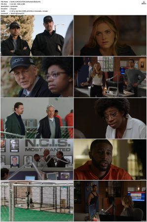 NCIS S17 1080p AMZN WEB-DL x265 HEVC DDP 5 1-PHOCiS