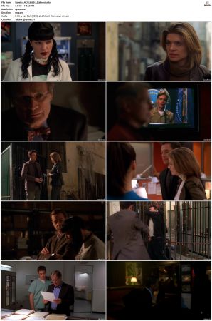 NCIS S05 1080p AMZN WEB-DL x265 HEVC DDP 5 1-PHOCiS