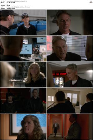 NCIS S12 1080p AMZN WEB-DL x265 HEVC DDP 5 1-PHOCiS