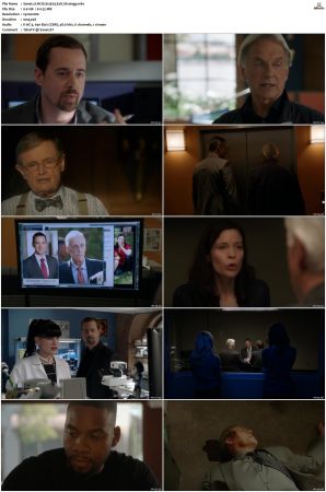 NCIS S15 1080p AMZN WEB-DL x265 HEVC DDP 5 1-PHOCiS