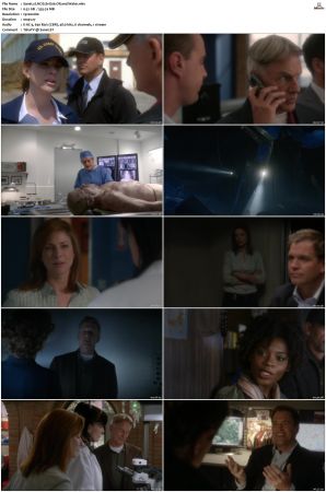 NCIS S11 1080p AMZN WEB-DL x265 HEVC DDP 5 1-PHOCiS
