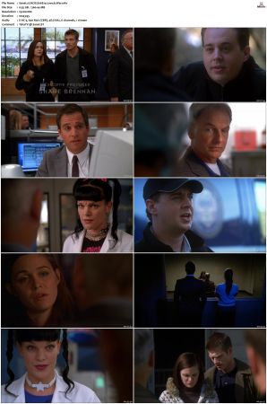 NCIS S06 1080p AMZN WEB-DL x265 HEVC DDP 5 1-PHOCiS