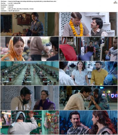 Sui Dhaaga Made in India 2018 1080p 10bit Bluray x265 Hindi AAC 5.1 Esub-BlacK PearL