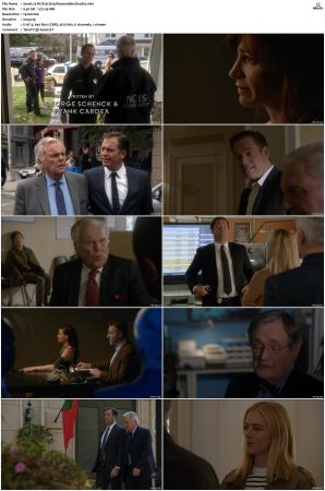 NCIS S13 1080p AMZN WEB-DL x265 HEVC DDP 5 1-PHOCiS