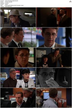 NCIS S05 1080p AMZN WEB-DL x265 HEVC DDP 5 1-PHOCiS