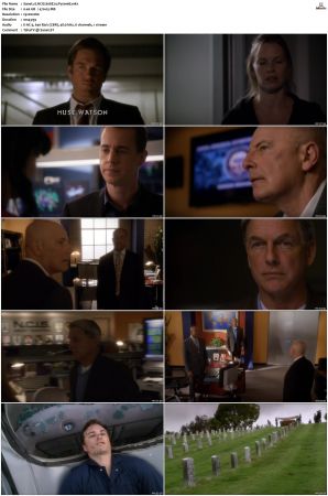 NCIS S08 1080p AMZN WEB-DL x265 HEVC DDP 5 1-PHOCiS