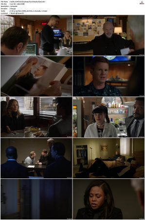 NCIS S15 1080p AMZN WEB-DL x265 HEVC DDP 5 1-PHOCiS