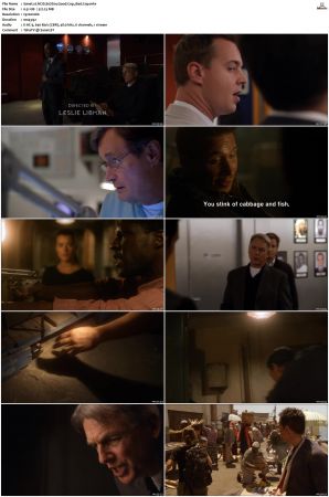 NCIS S07 1080p AMZN WEB-DL x265 HEVC DDP 5 1-PHOCiS