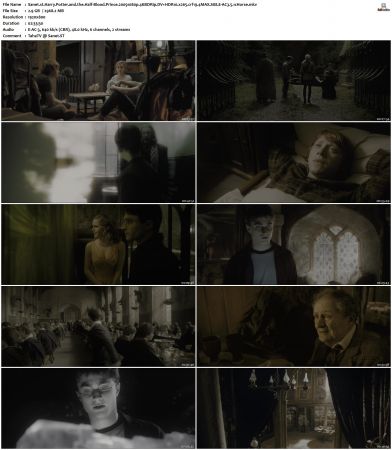Harry Potter and the Half-Blood Prince 2009 1080p 4KBDRip DV+HDR10 x265 crf19 4MAX S88 E-AC3 5.1 cHorse
