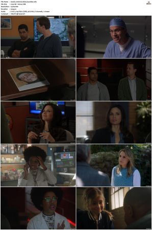 NCIS S20 1080p AMZN WEB-DL x265 HEVC DDP 5 1-PHOCiS
